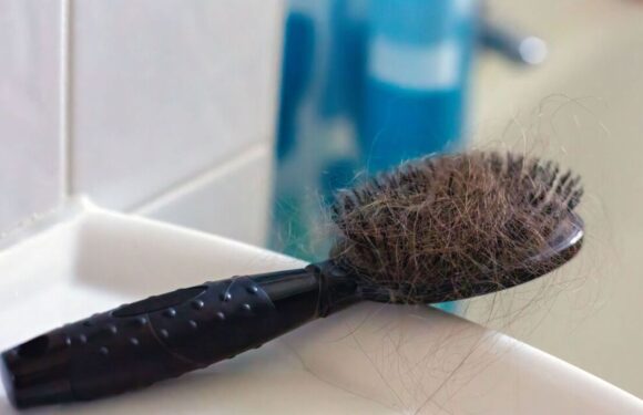 Simple method removes dirt and dandruff from hairbrushes in minutes