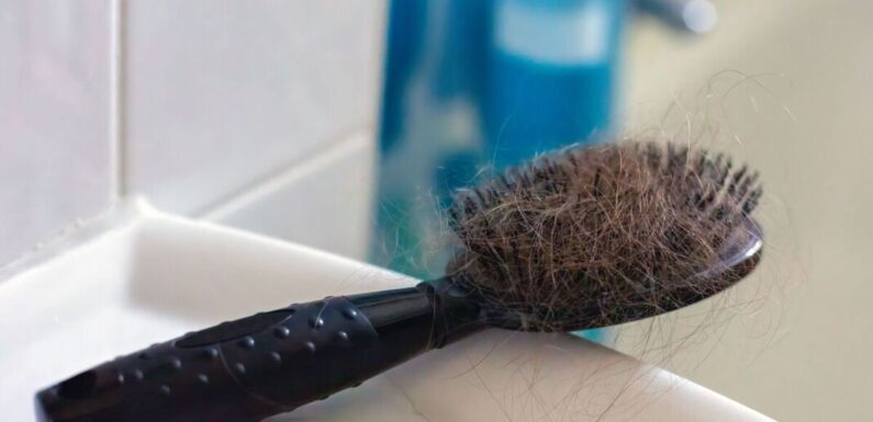 Simple method removes dirt and dandruff from hairbrushes in minutes