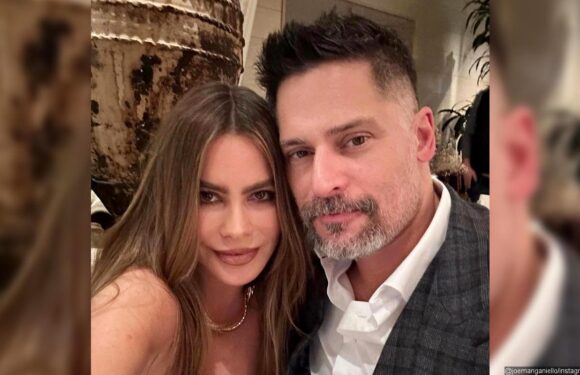 Sofia Vergara Hands Her Dog to Joe Manganiello Amid Divorce as the Pooch ‘Hates’ Her