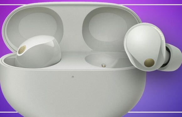 Sony WF-1000MX5 review: The wireless buds to beat