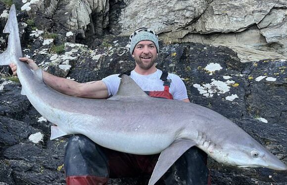 Stunned angler reels in 5ft 6 tope shark off the Devon coast