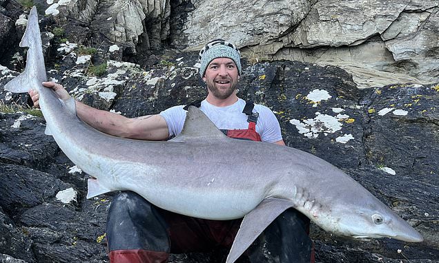 Stunned angler reels in 5ft 6 tope shark off the Devon coast