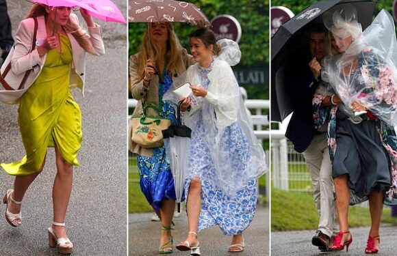 Stylish Goodwood revellers brave the wet weather for final races