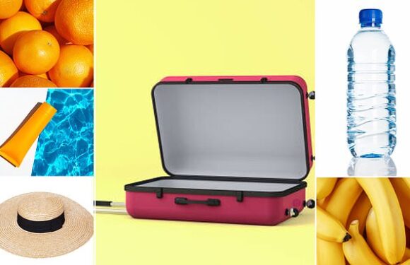 Sunscreen, water and bananas…the Government's 'essential' advice