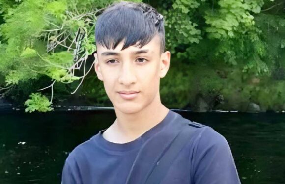 Teen boy, 17, died after being speared by shard of glass when he fell through greenhouse in freak accident | The Sun