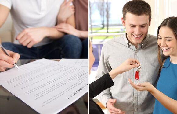 Tenant competition is rife as numbers rise 38% in one year