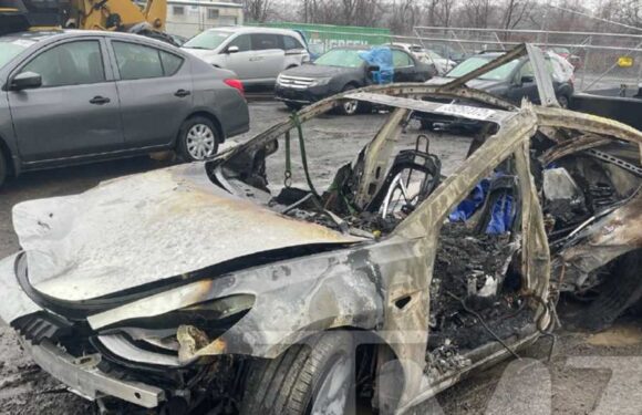 Tesla Sued Over Fatal Car Crash, Model 3 Allegedly Exploded On Impact With Tree
