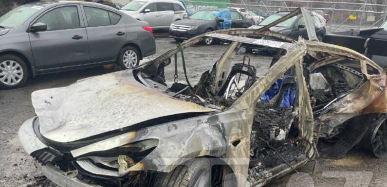 Tesla Sued Over Fatal Car Crash, Model 3 Allegedly Exploded On Impact With Tree
