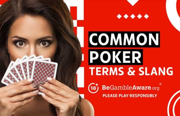 The Most Common Poker Terms: a Guide To Poker Glossary and Definitions | The Sun