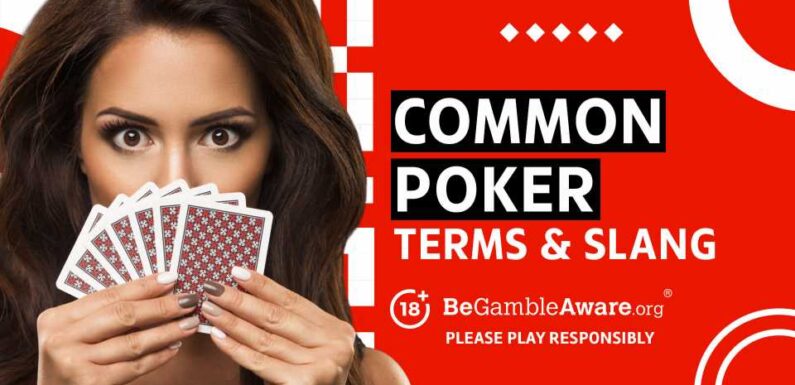 The Most Common Poker Terms: a Guide To Poker Glossary and Definitions | The Sun