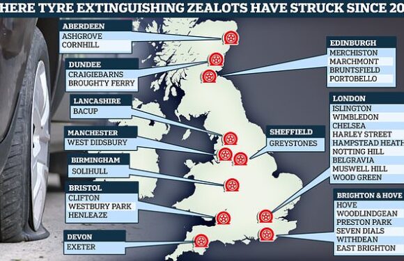 The Tyre Extinguisher eco-vandals behind Jaguar dealership attack