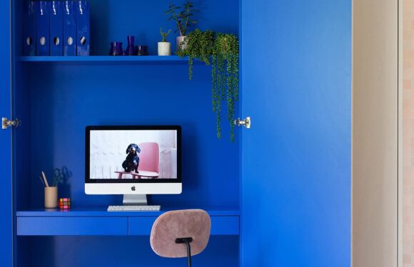 The colour that's the is interior experts' new must-have