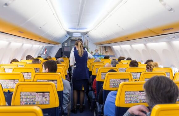 The eye-watering amount one budget airline makes from add-on fees