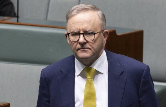 The four fixes Anthony Albanese wants for the housing crisis