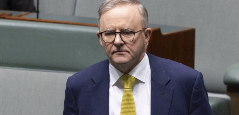 The four fixes Anthony Albanese wants for the housing crisis