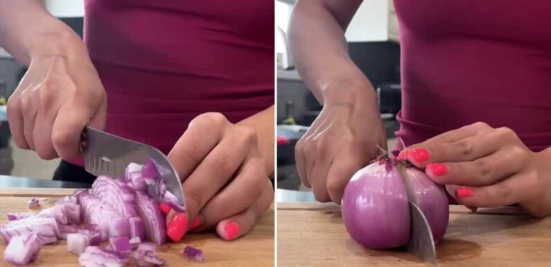The perfect way to chop up your onions without shedding a tear your knife has nothing to do with it | The Sun