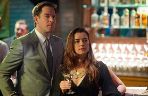 The real reason NCIS fans don’t want to see Tony and Ziva return