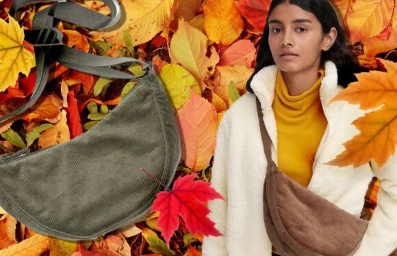 The viral Uniqlo bag has had an autumn update