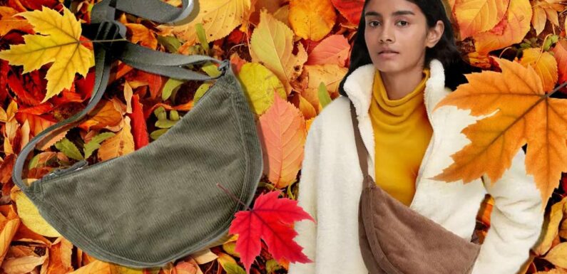 The viral Uniqlo bag has had an autumn update