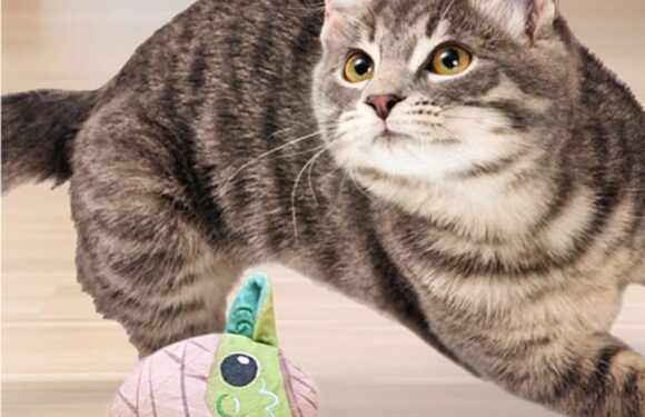 These Star Wars-Themed Halloween Toys ‘Stand up to Heavy Chewers’ & They’re Only $8 for a 2-Pack!