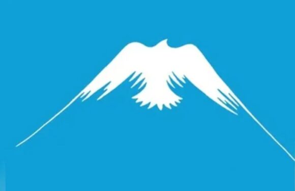 This optical illusion can reveal if you’re an over worker – but it all hinges on what you see first | The Sun