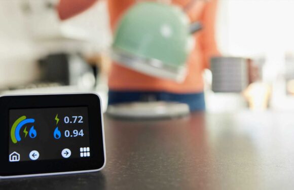 Thousands of customers at huge energy supplier paid to use electricity at specific time – how you can too | The Sun