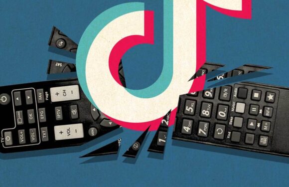 TikTok Surge in Southeast Asia Halts Premium Video Growth in First Half – Report
