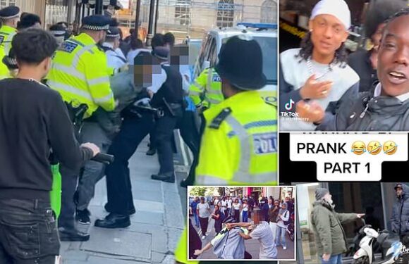 TikTok yobs using chaos for clicks: Police hunt Oxford Circus youths