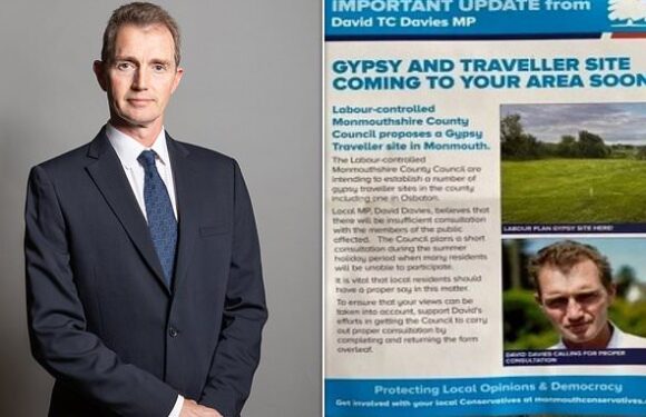 Tory minister faces police probe over 'hostile' election leaflet