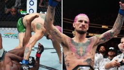 UFC Star Sean O'Malley Knocks Out  Aljamain Sterling to win Bantamweight Title