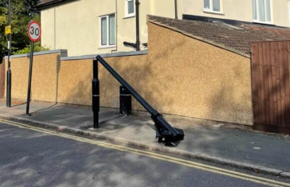 Vandals destroy cameras on eve of ULEZ expansion with wave of protests