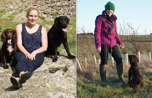 Veterinary nurse who gave animal drugs to lover's wife is suspended