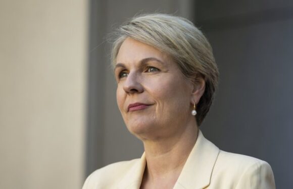 Victoria holds out on revamped Murray-Darling Basin plan