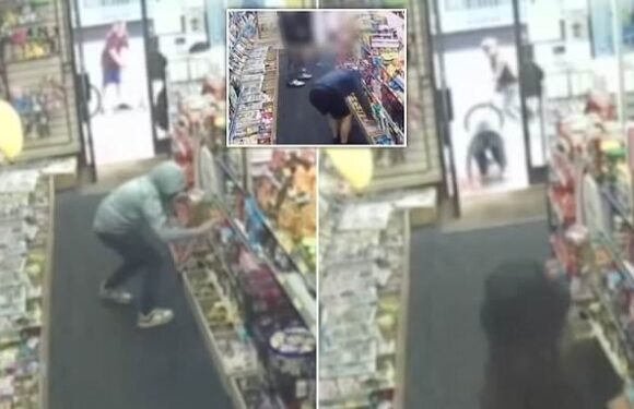 Video catches brazen youngsters stealing sweets and vapes from shop