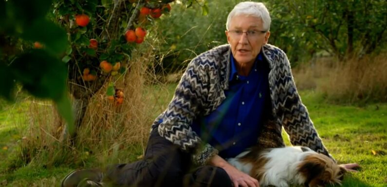 Viewers admit they 'can't watch' Paul O'Grady's Great British Escape