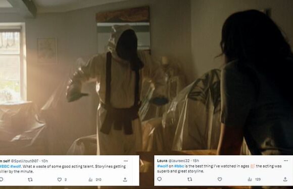 Viewers of BBC's series Wolf are left divided over penultimate episode