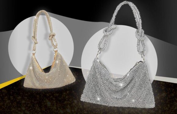 We found a budget-friendly version of the gorgeous Cult Gaia crystal bag