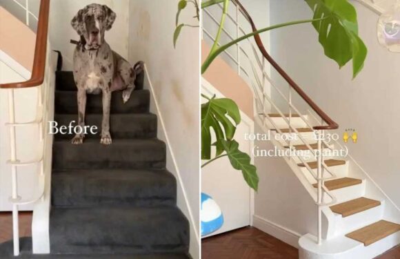 We were quoted £3k to do our stairs so decided to do it ourselves for way cheaper – I'm obsessed with how it turned out | The Sun