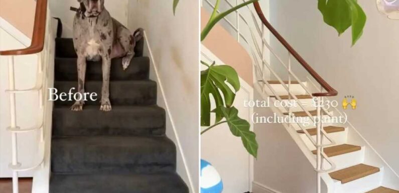 We were quoted £3k to do our stairs so decided to do it ourselves for way cheaper – I'm obsessed with how it turned out | The Sun