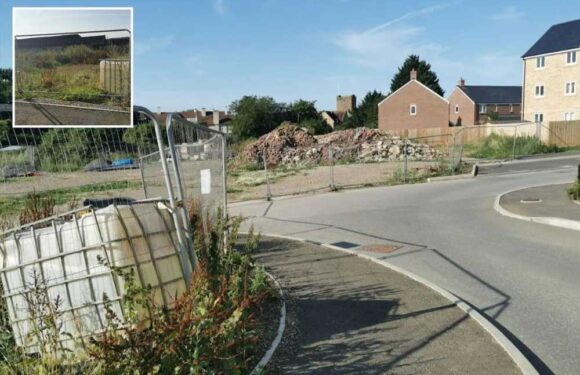 We're living a newbuild nightmare – our gardens are full of rubbish, pavements are unfinished and it's a total eyesore | The Sun