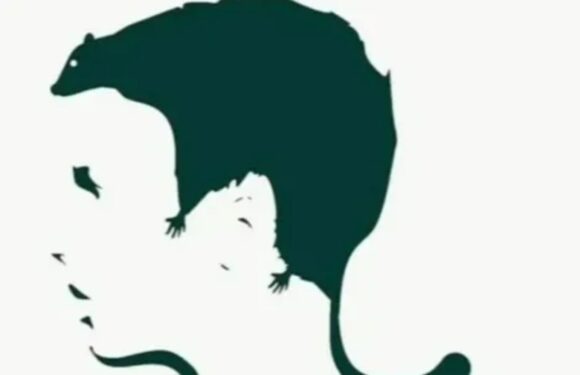 What you see first in this optical illusion reveals your biggest fear – are you scared of being ridiculed or loneliness? | The Sun