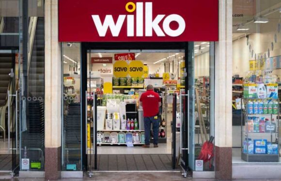 Which Wilko stores are at risk of closing down? | The Sun