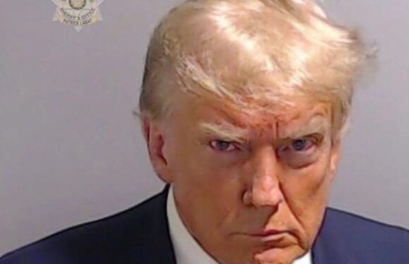 Why was Donald Trump arrested? | The Sun