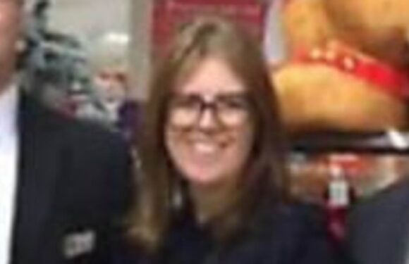 Wilko owner drove discounter to brink by ditching low price strategy