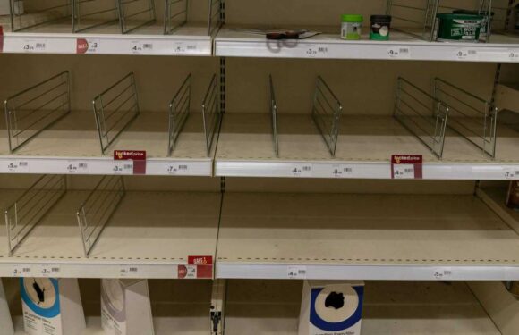 Wilko shelves empty after administration – and shoppers are all saying the same thing about it closing down | The Sun