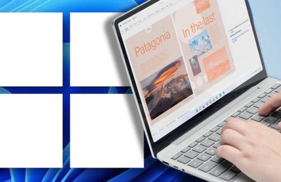 Windows users can get LIFETIME access to Windows 11 for an insanely price