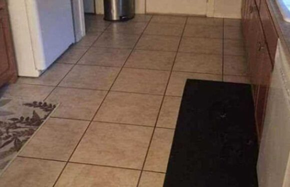 You have 20/20 vision if you can see the dog hiding in the kitchen in this mind-boggling picture in 10 seconds | The Sun