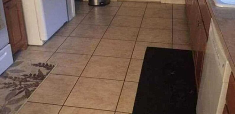 You have 20/20 vision if you can see the dog hiding in the kitchen in this mind-boggling picture in 10 seconds | The Sun