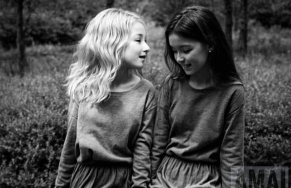 You have 20/20 vision if you can spot the third face in eerie optical illusion | The Sun