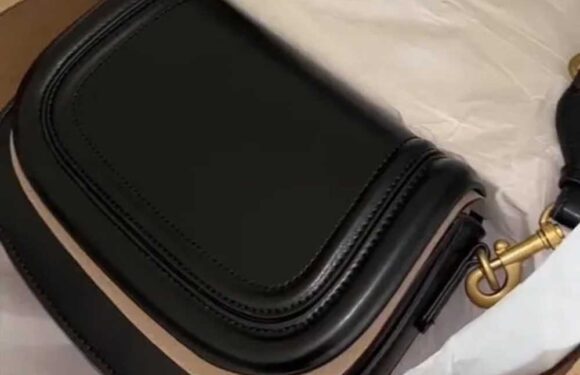 Zara fans go wild for little black handbag with major perk for customers to add personal touch | The Sun